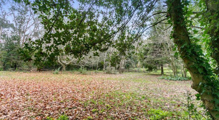 Photo of Outdoor in Leura