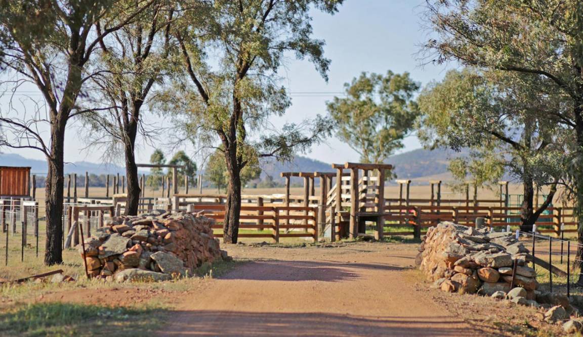 Photo of Buildings in Scone