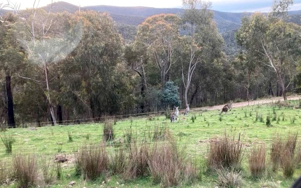 Photo of Others in Steels Creek