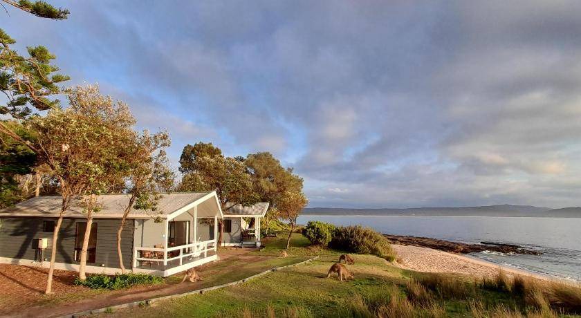 Photo of Others in South Durras