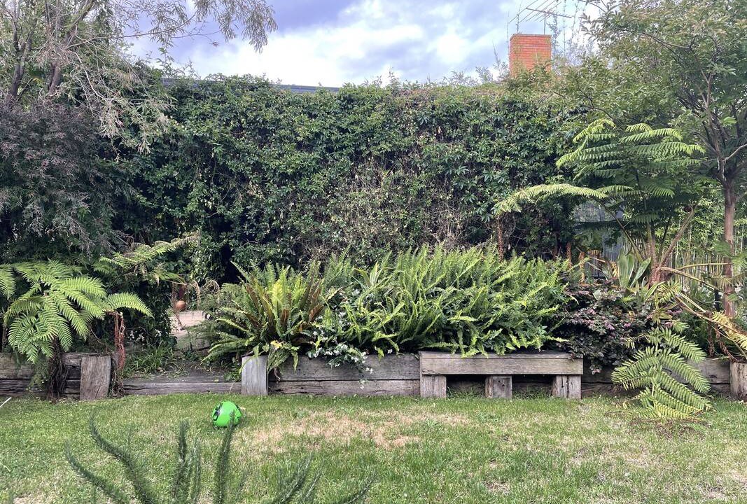 Photo of Others in Caulfield North