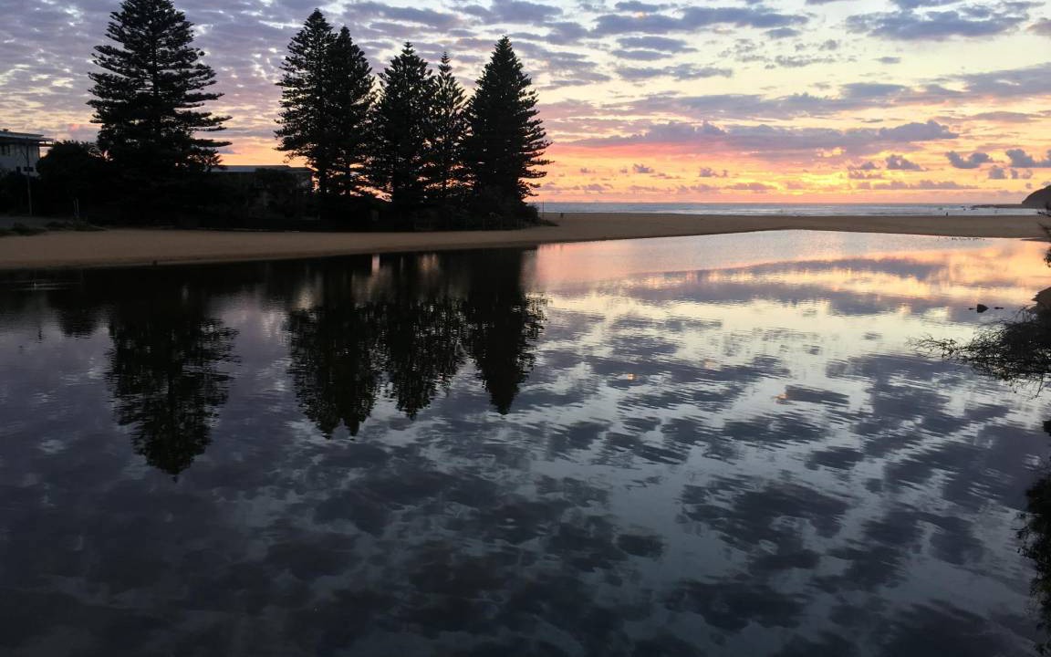 Photo of Others in Wamberal