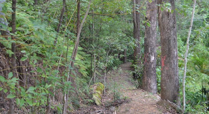 Photo of Outdoor in Palmwoods