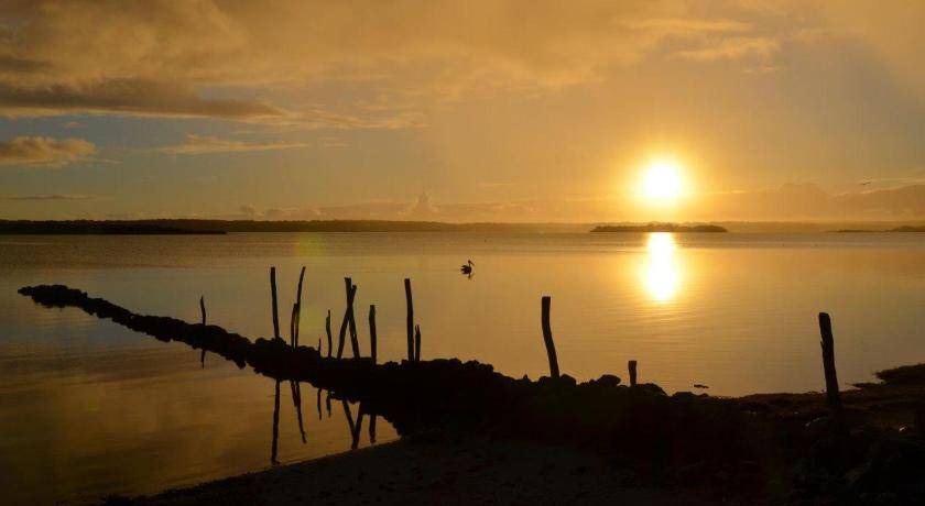 Photo of Others in Pelican Lagoon