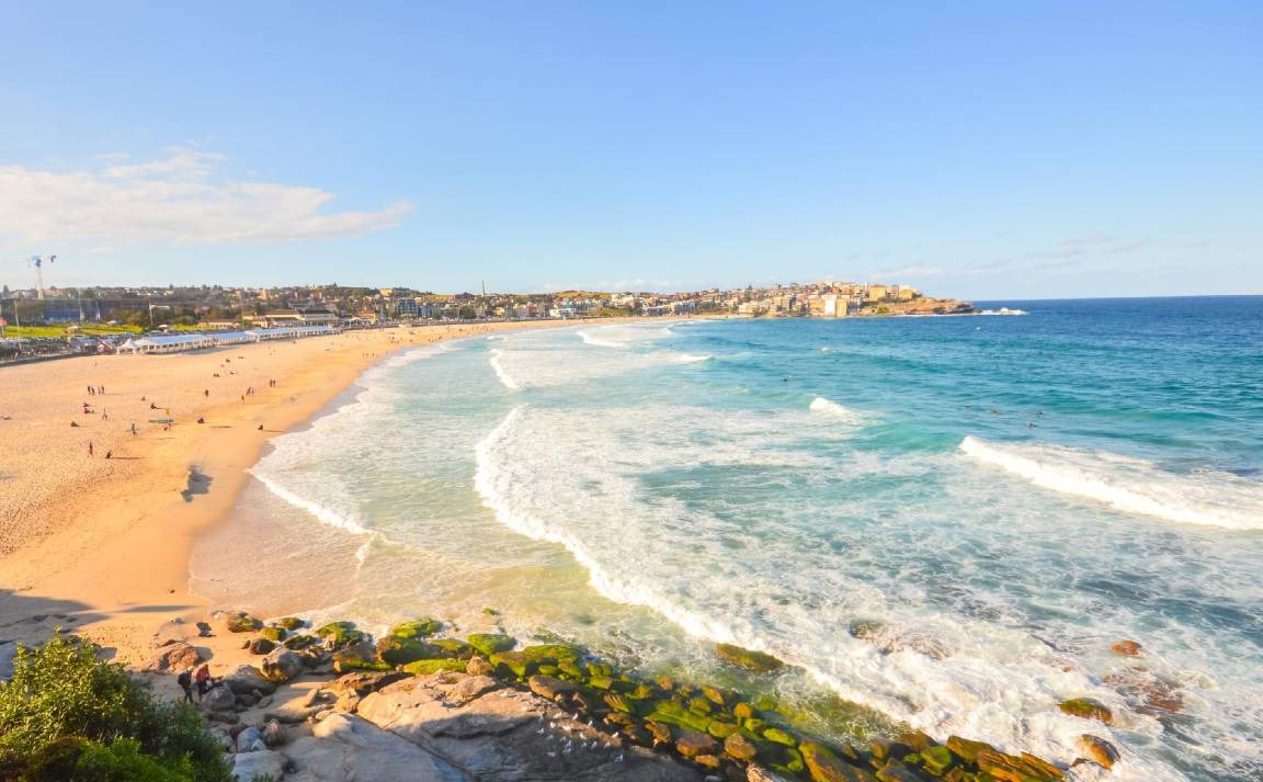 Photo of Others in Tamarama
