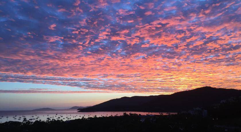 Photo of Outdoor in Airlie Beach
