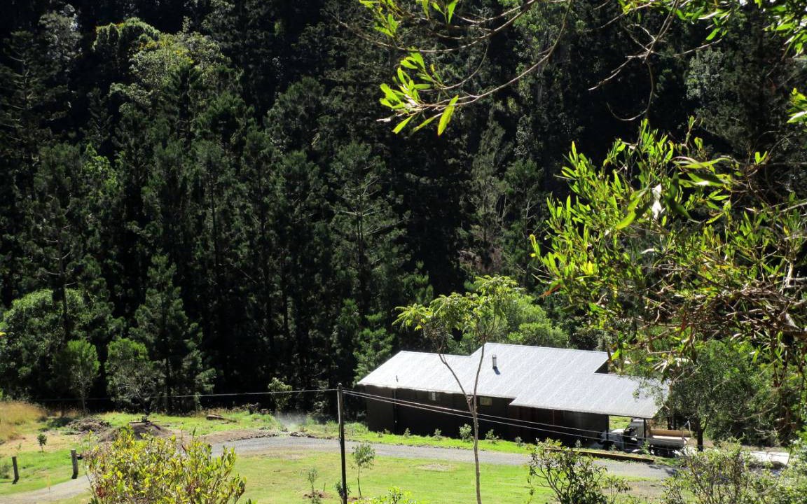 Photo of Others in Lamington