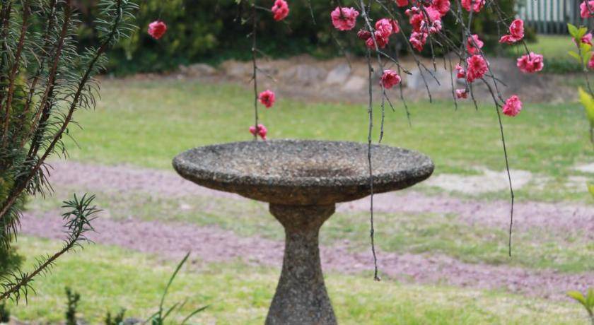 Photo of Others in Stanthorpe