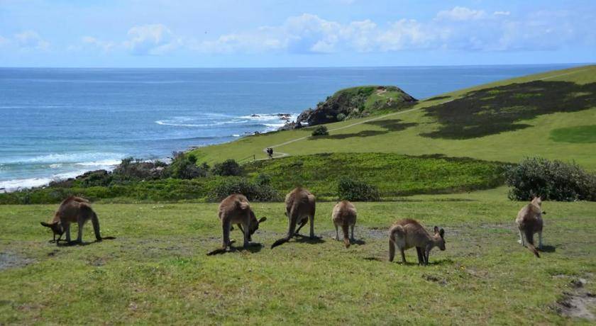 Photo of Outdoor in Emerald Beach