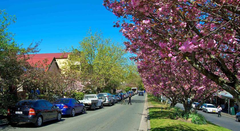 Photo of Others in Leura