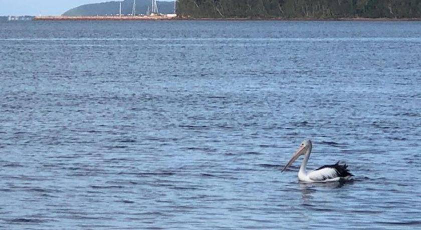 Photo of Others in Salamander Bay