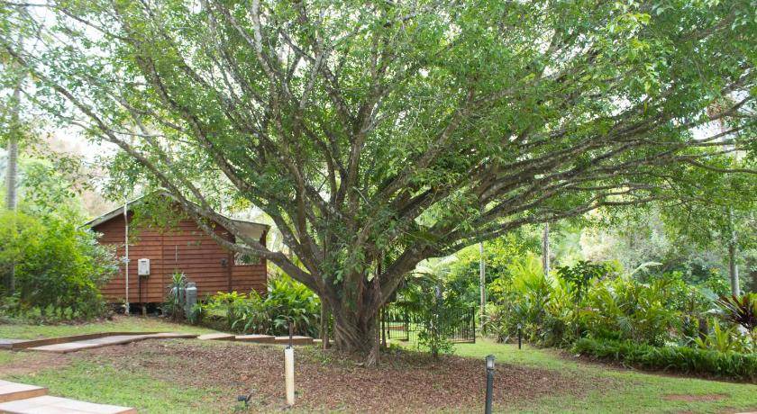 Photo of Others in West Woombye