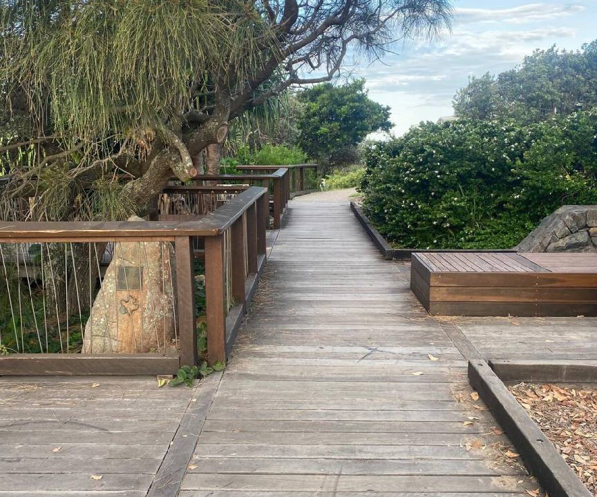 Photo of Others in Moffat Beach