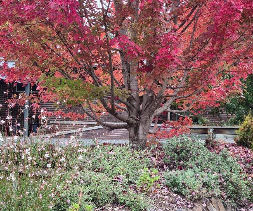 Photo of Others in Armidale