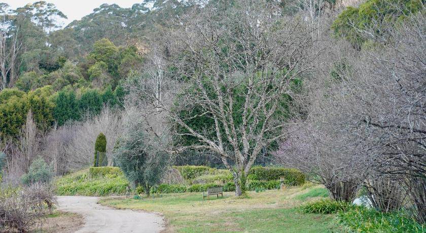 Photo of Others in Mount Irvine