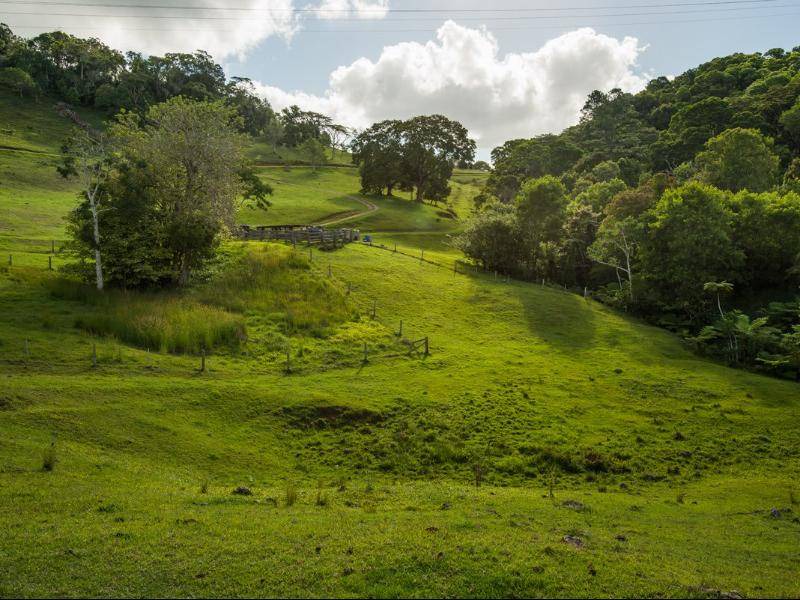 Photo of Outdoor in Booroobin