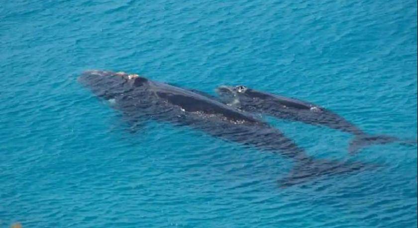 Photo of Others in Emerald Beach