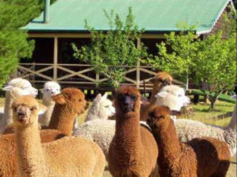Photo of Others in Kurrajong Heights