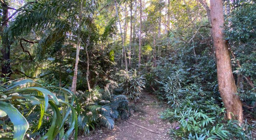 Photo of Others in Palmwoods