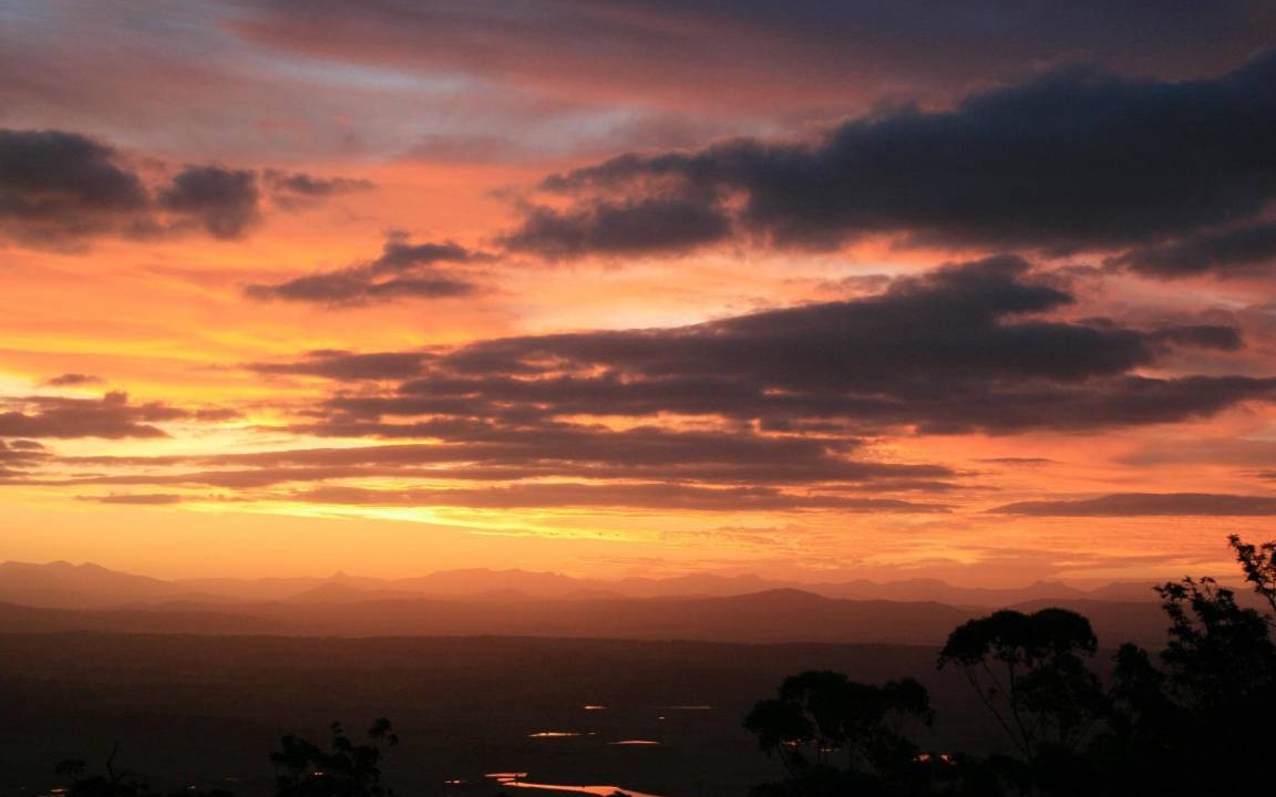 Photo of Others in North Tamborine