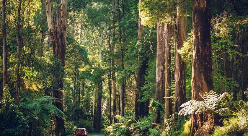 Photo of Others in Menzies Creek