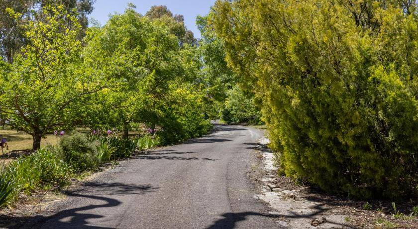 Photo of Outdoor in Angaston