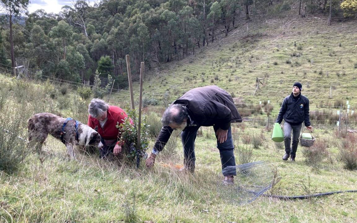 Photo of Others in Steels Creek