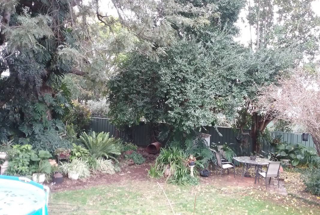 Photo of Others in Gunnedah