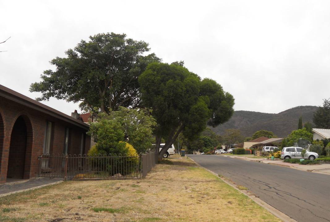 Photo of Others in Athelstone