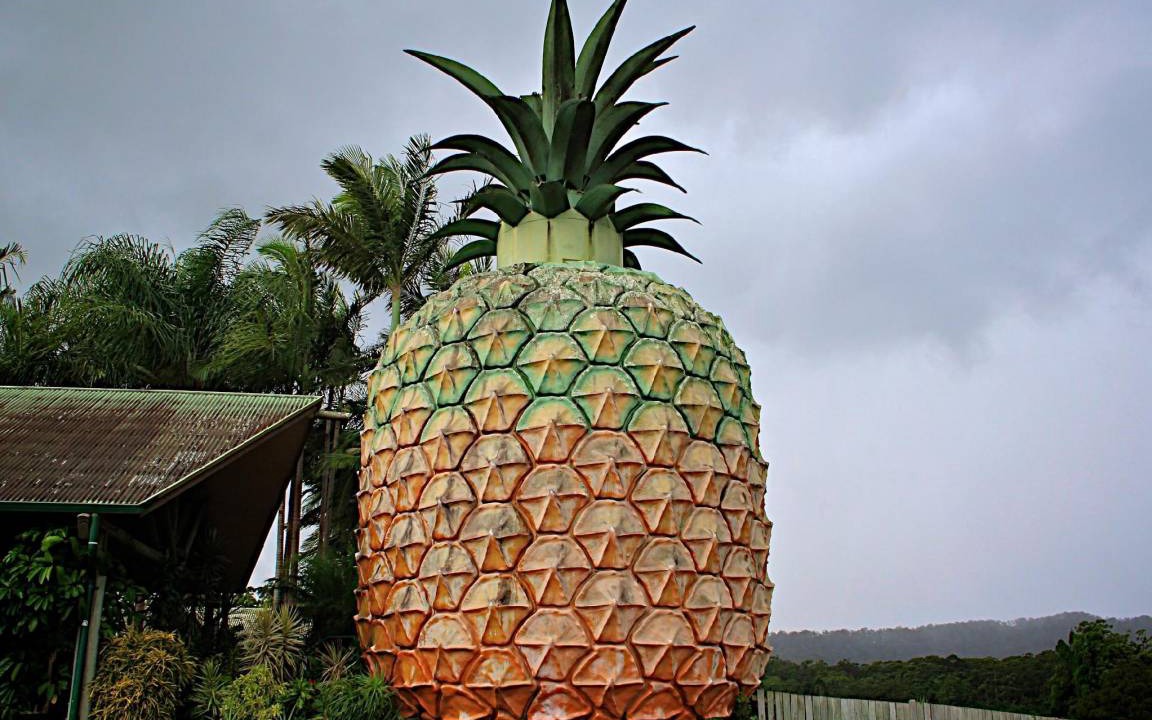 Photo of Others in Caloundra