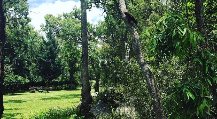 Photo of Others in Stanthorpe