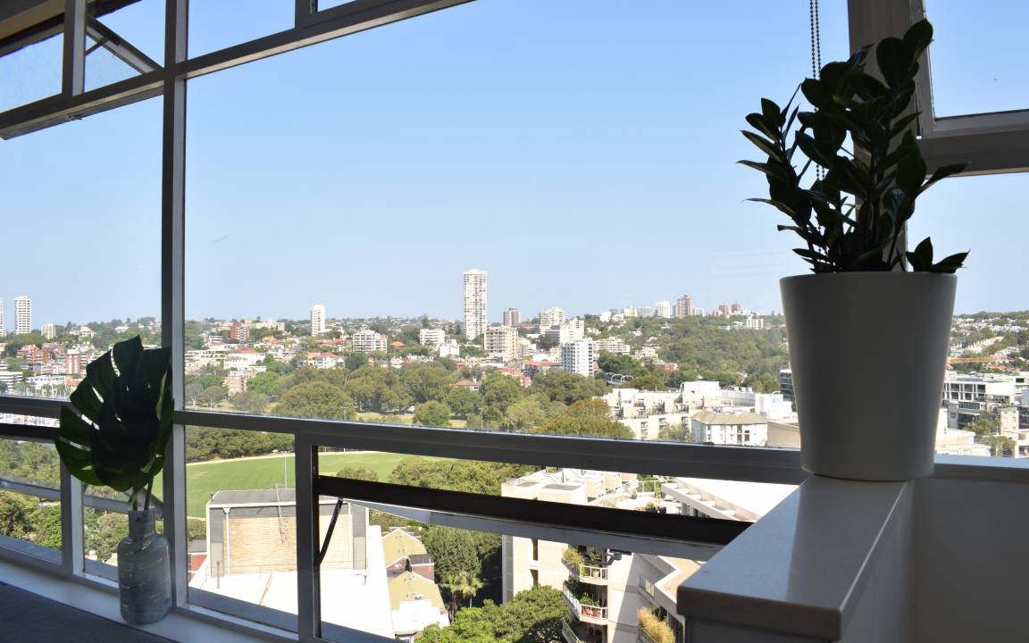 Photo of Others in Elizabeth Bay