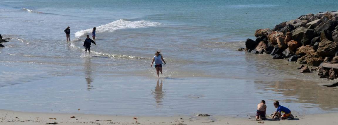 Photo of Human In Picture in Bolwarra