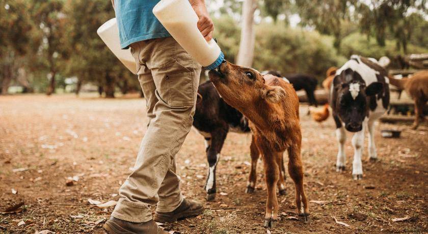 Photo of Others in Margaret River