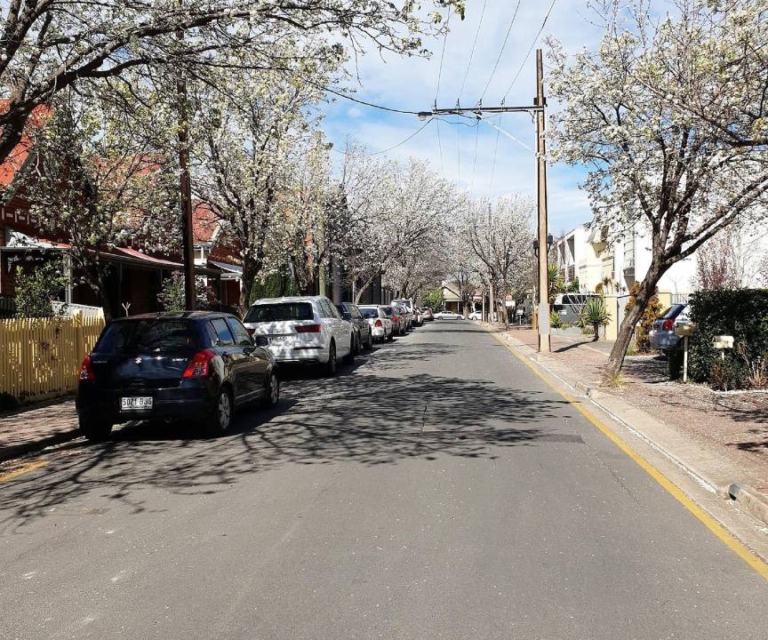 Photo of Others in Norwood