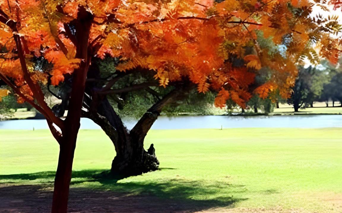 Photo of Others in Mildura