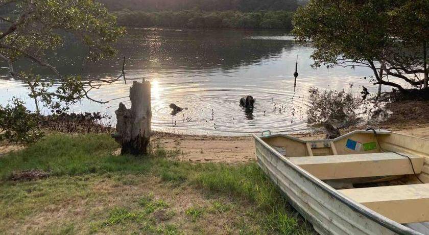 Photo of Others in Patonga