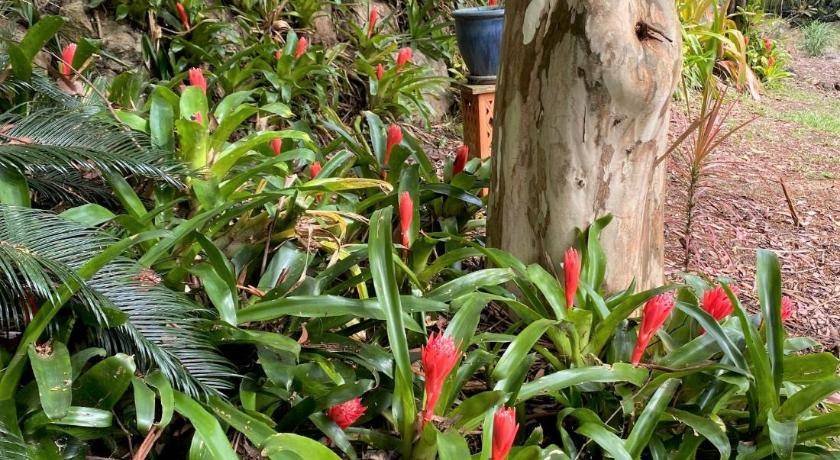 Photo of Others in Palmwoods