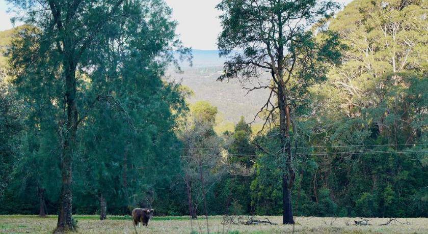 Photo of Others in Mount Irvine