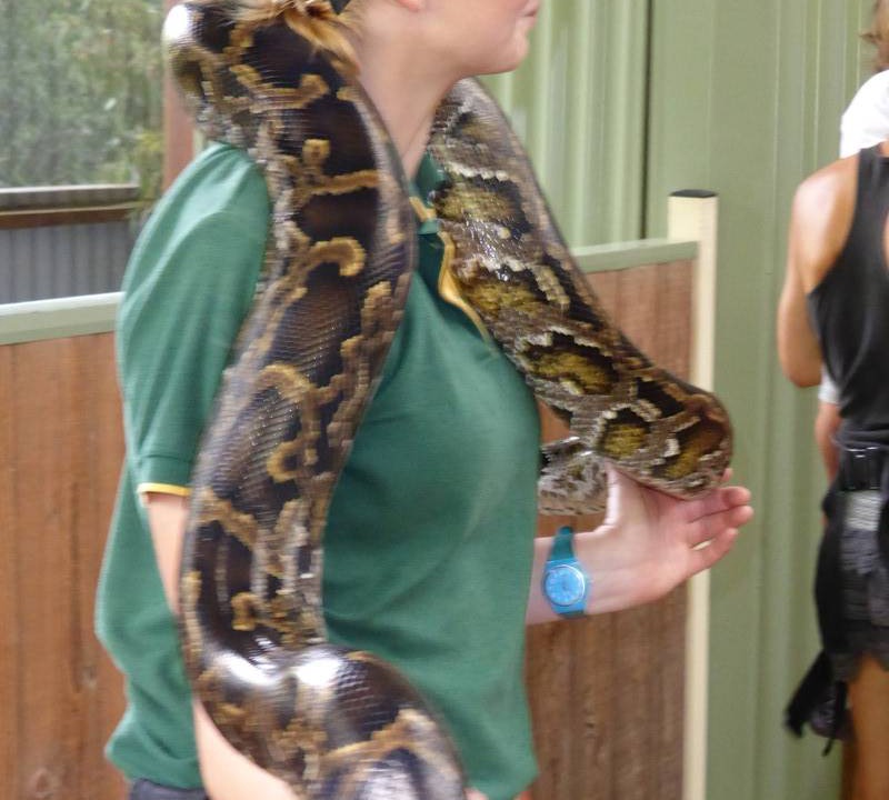 Photo of Others in Kogarah