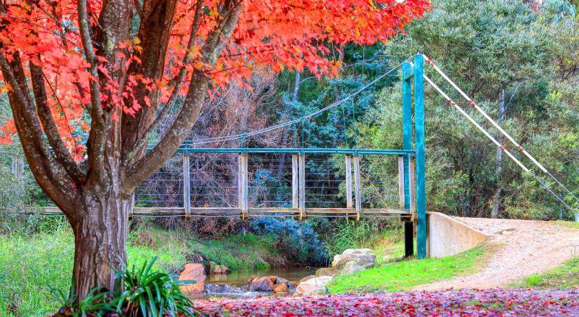 Photo of Others in Beechworth