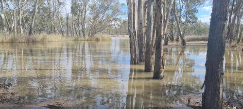 Photo of Others in Paringa