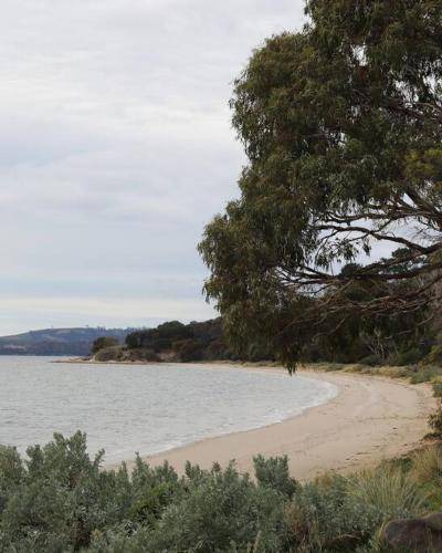 Photo of Others in Opossum Bay
