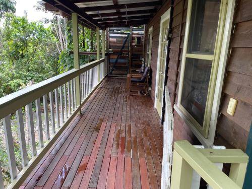 Photo of Others in Bellingen