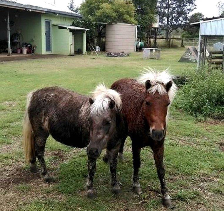 Photo of Others in Kingaroy