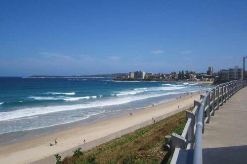 Photo of Others in Cronulla