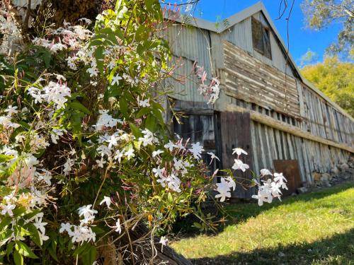 Photo of Others in Wollombi