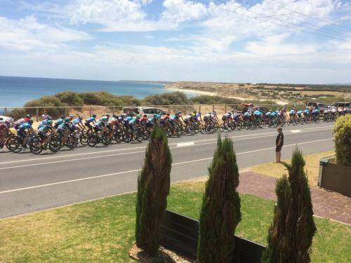 Photo of Others in Port Willunga