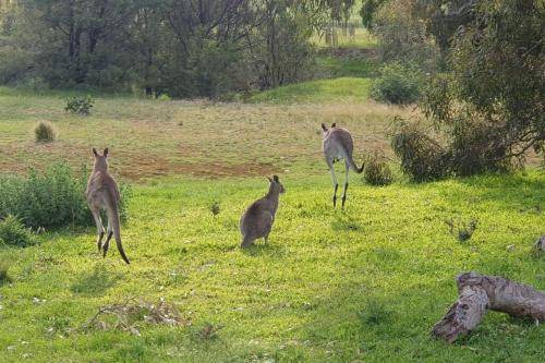 Photo of Others in Glenroy
