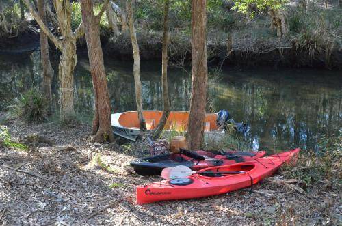 Photo of Others in Lower Mangrove